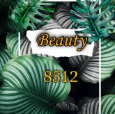 Beauty 8512 